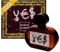 /album/paraiso-dos-revendedores/yes-fem-01-jpg/